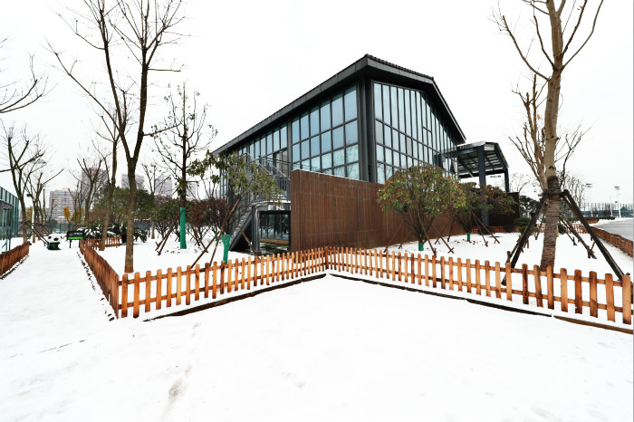 一場雪，體育中心美得不要不要的 但最美的風(fēng)景還是他們(圖1)
