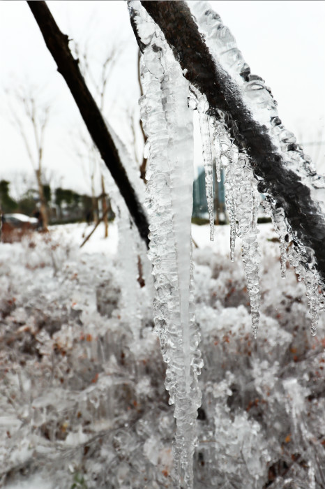 一場雪，體育中心美得不要不要的 但最美的風(fēng)景還是他們(圖4)