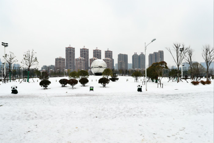 一場雪，體育中心美得不要不要的 但最美的風(fēng)景還是他們(圖2)