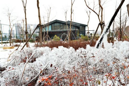 一場雪，體育中心美得不要不要的 但最美的風(fēng)景還是他們(圖3)