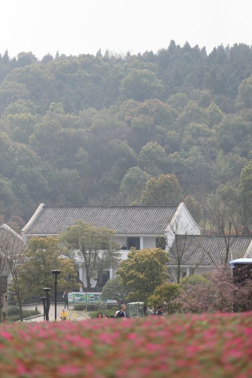 “與軍運同行”徒步活動上演“快閃”  武漢體育中心作為企業(yè)代表隊第一方陣登場(圖3)